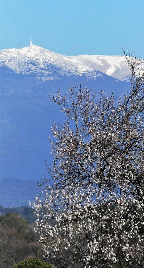 Les Buis Lägenhet Carpentras Exteriör bild